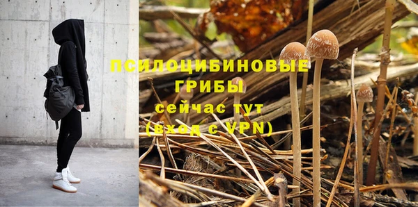 не бодяженный Володарск