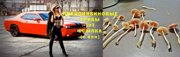 не бодяженный Володарск