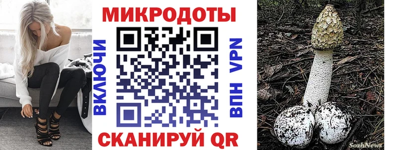 Купить  Балашов  Псилоцибиновые грибы мицелий 